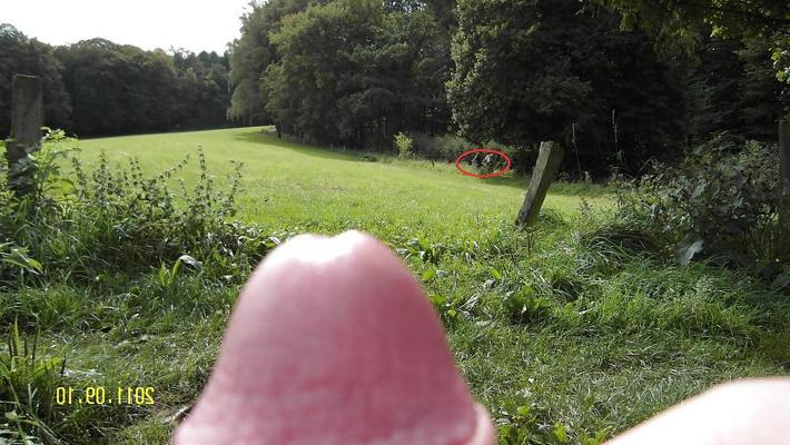 11P Public Masturbation