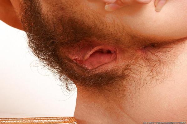 25P MORE LOVELY HAIRY PUSSY
