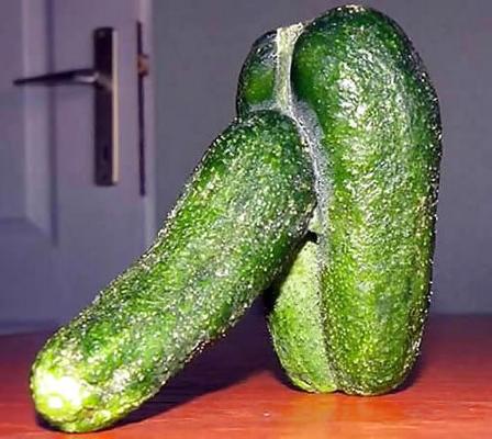 10P Food-Porno!