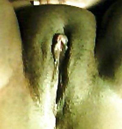 14P BBW Ebony Beauty