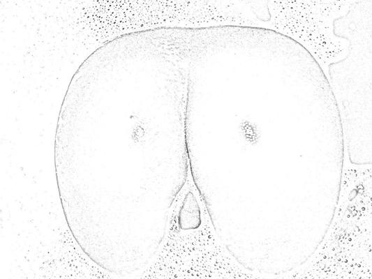 4P Art&Crazy