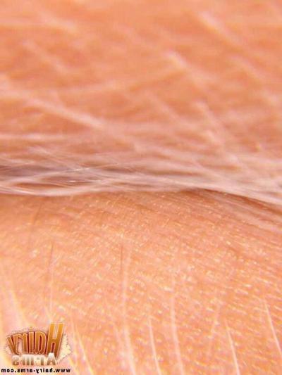 13P Close Up Of Lori's Sexy Arm Hair