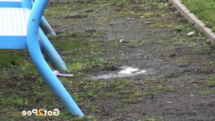 15P Naughty dark haired babe pees in a public park