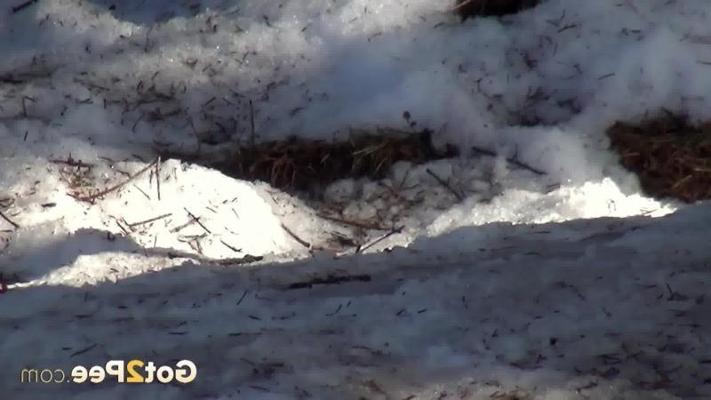 15P Une jolie brune relève sa jupe pour pisser dans la neige