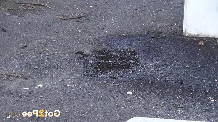 15P 公共放尿中に長い小便の流れが作られます