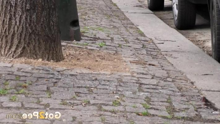 15P Sexy European has a much needed piss outside