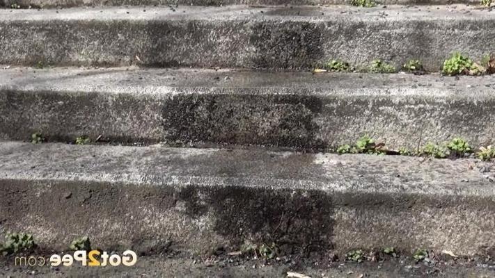15P Dark haired girl pisses on concrete steps