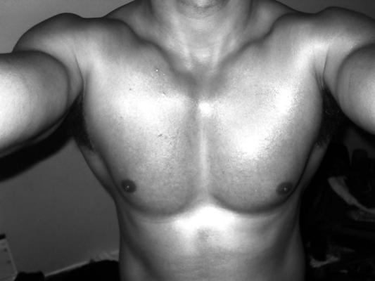6P Stud ultime