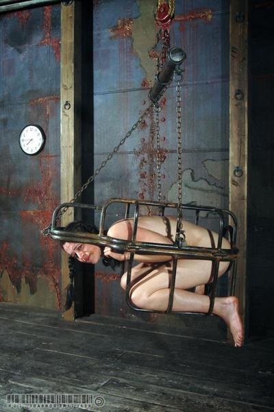 16P 314 has been in this cage for hours 