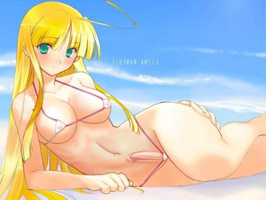 13P Bikini futanari at beach