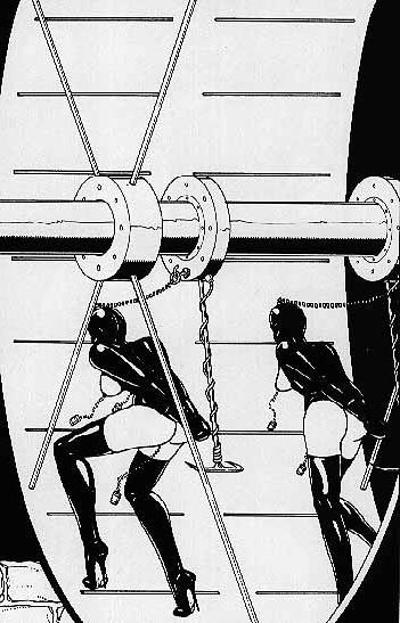 15P bizarre rope tied females in bondage with huge breasts artworks