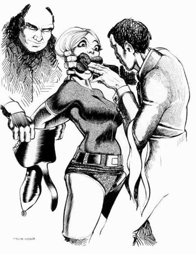 15P gorgeous women ball gagged bondage art