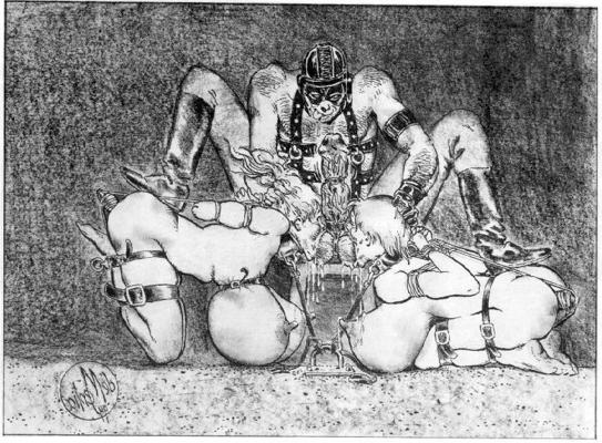15P crazy huge breast bondage drawings