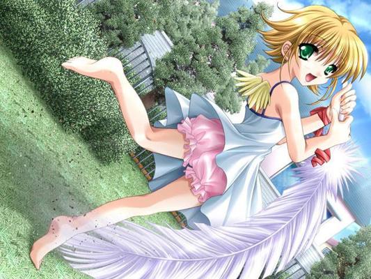 19P Collection of young hentai chicks in their skirts and underwear