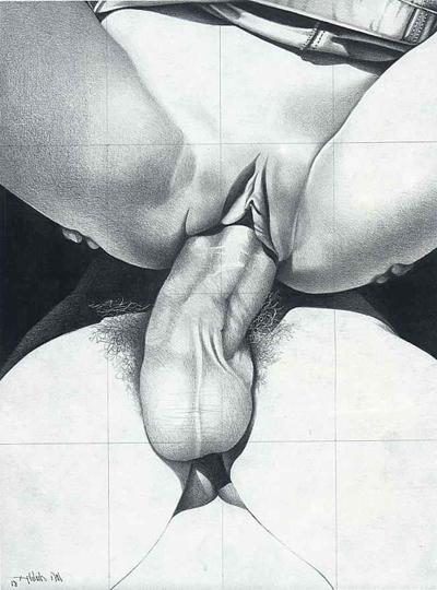 15P sexual submission bizarre bdsm drawings