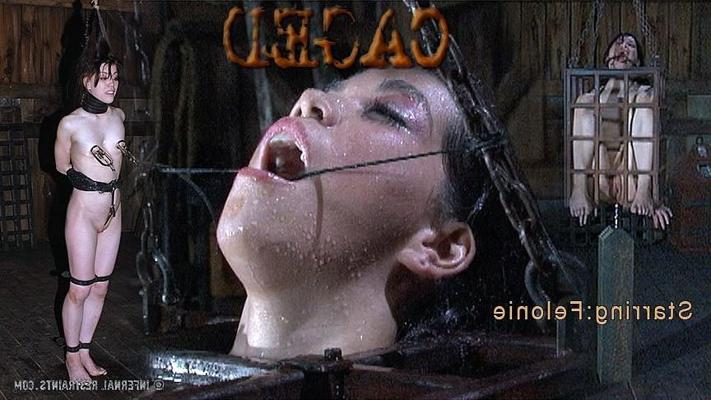 16P Felonie amateur is put in a cage with clamps on pussy and tits