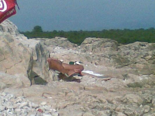 10P Beach spy photo