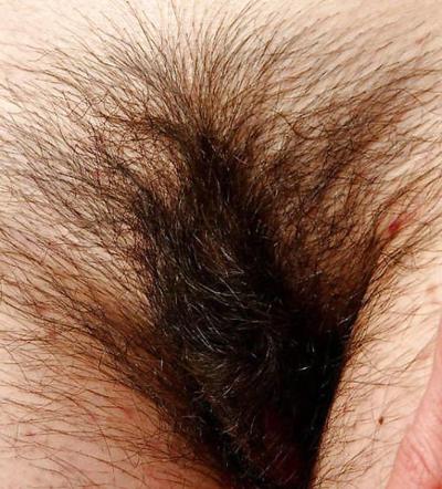 25P BUCETAS PELUDAS = hairy pussy CLOSE