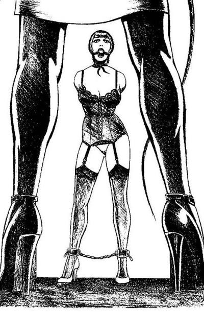 15P classic female bondage artworks