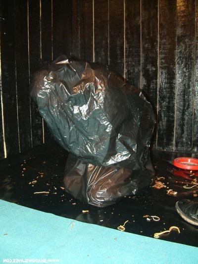 15P Messy food humiliation