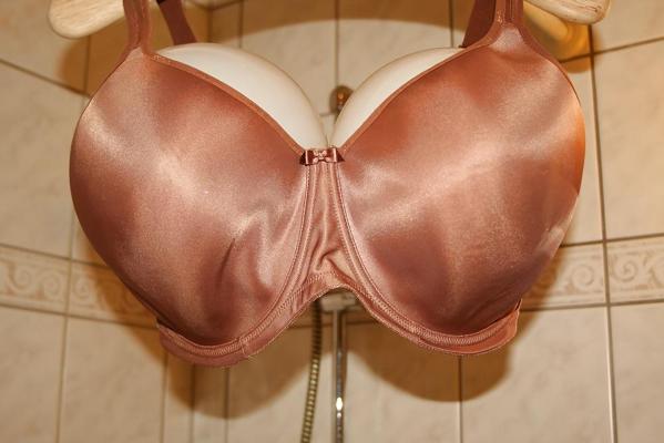6P H cup bra