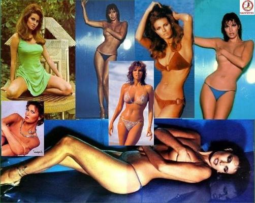 15P Hollywood legend Raquel Welch collection of see thru shots