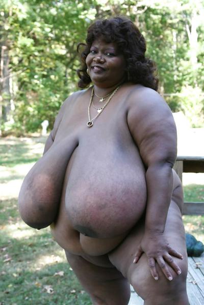 4P 72 ZZZ Norma Stitz