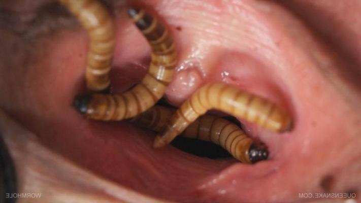16P extreme and bizarre vaginal insertions
