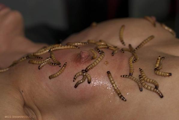 16P skinny woman inserts worms up her vagina