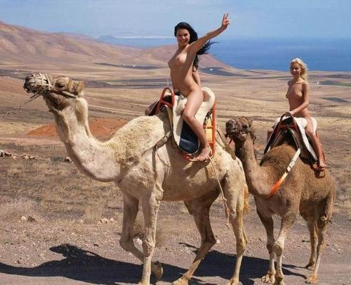 16P weird bizarre unusual and funny pictures