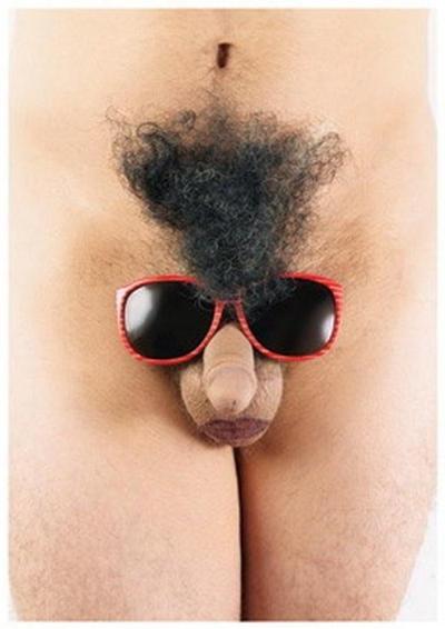 12P funny male penises