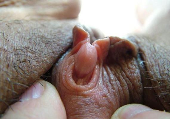 14P very extremely pumped and pierced pussy