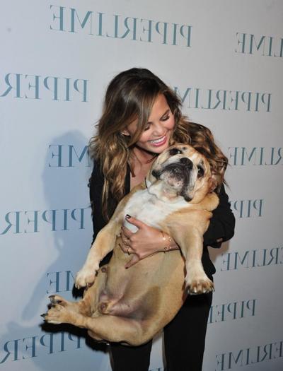 10P Chrissy Teigen ohne BH streichelt zwei hässliche Bulldoggen im neuen Piperlime Co