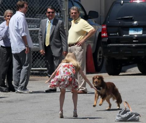 16P Amanda Seyfried humped by her dog on the set of 'The Wedding