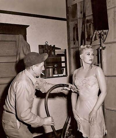16P Retro photos with busty girls uncovering their treasures