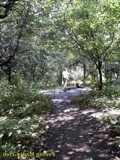 15P Amazing voyeur shots of an unsuspecting girl making a pee in the park