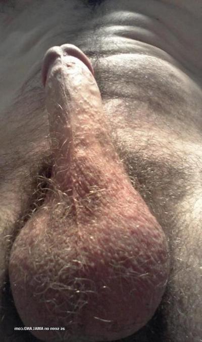 15P Collection of amateur boyfriends showing off their cocks