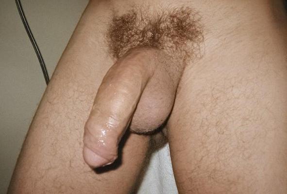 20P Huge cock bear and stud enjoy mutual sweet blowing closeups