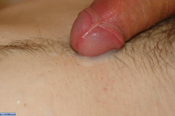 16P Twink premium quality DVD videos and mind-blowing photos!