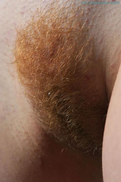 16P A busty redhead amateur teen exposes her bushy ginger pussy