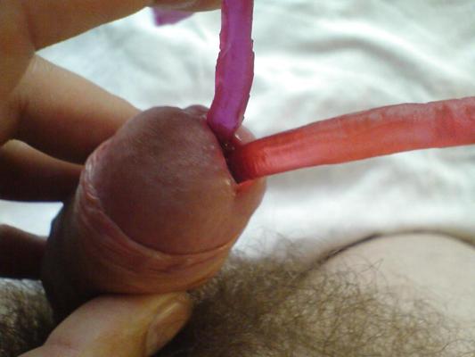 5P Urethral sound play