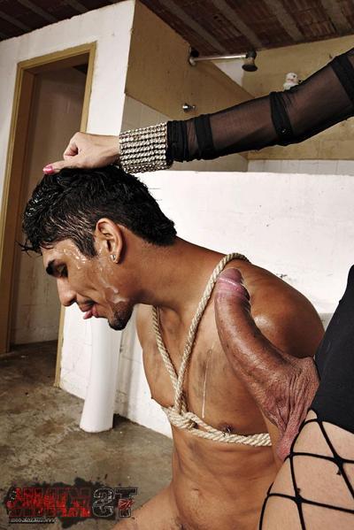 16P Shemale domme in action with her boytoy