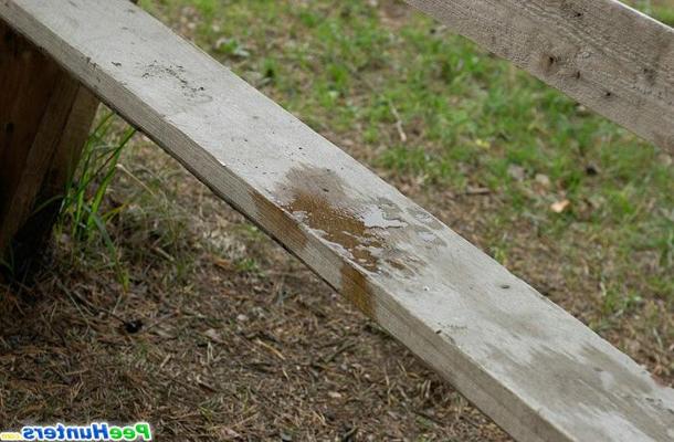 16P Blondie pisses onto the bench shes sitting on
