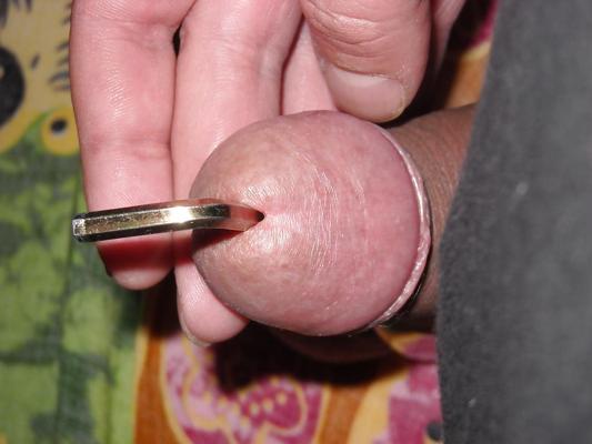 8P Penis insertions