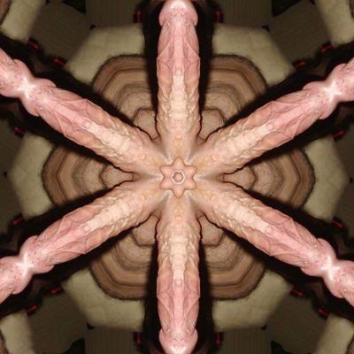11P PAU GRANDE FEMDOM