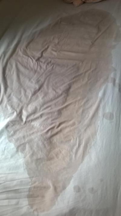 6P Pissy Sheets