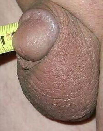 9P PETITE BITE d'un ami