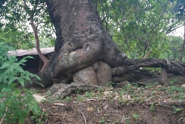 10P Lustige Sexbilder