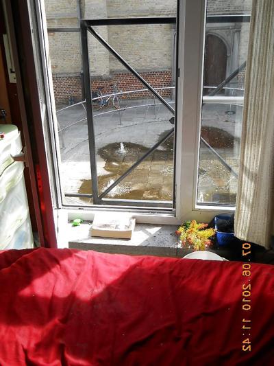 6P Strip in front of window