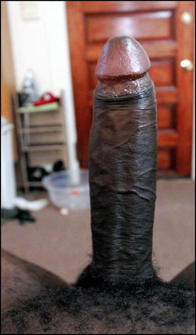 25P WHITE GIRLS &amp; BLACK COCKS